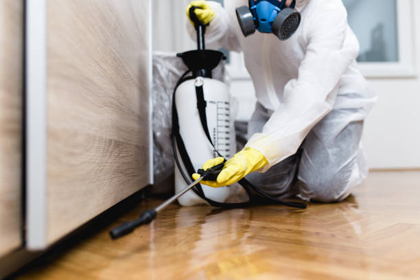 Best Insect Control  in Citrus Park, FL