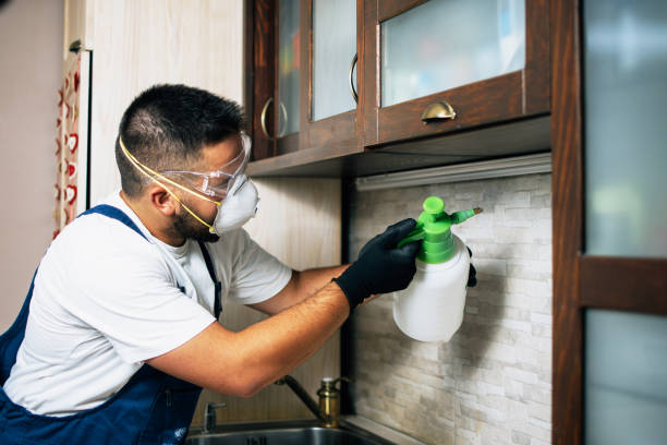 Professional Pest Control in Citrus Park, FL