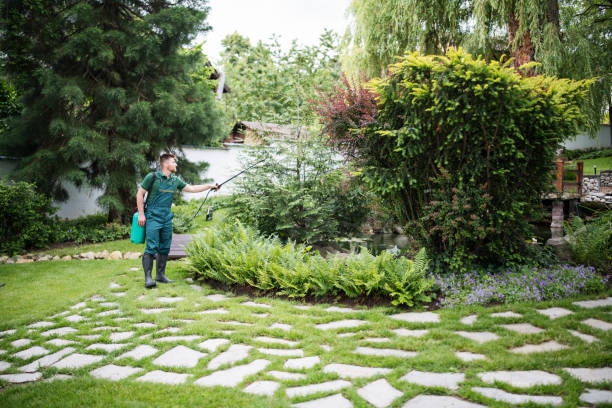 Best Mosquito Control Services  in Citrus Park, FL