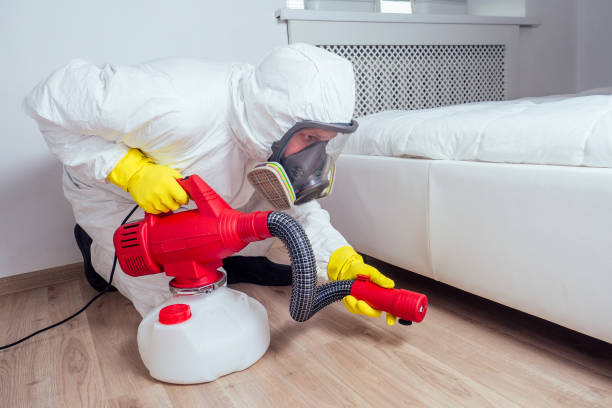 Best Pest Control Near Me  in Citrus Park, FL