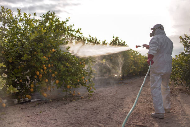 Best Affordable Pest Control Services  in Citrus Park, FL
