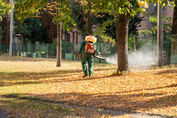 Best Bird Control  in Citrus Park, FL