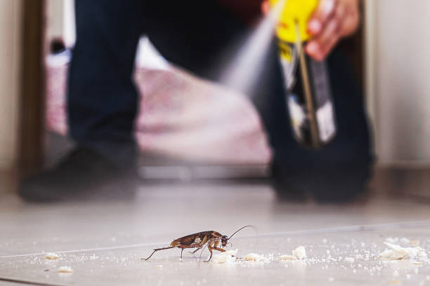 Best Affordable Pest Control Services  in Citrus Park, FL