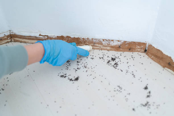 Best Pest Control Treatment  in Citrus Park, FL